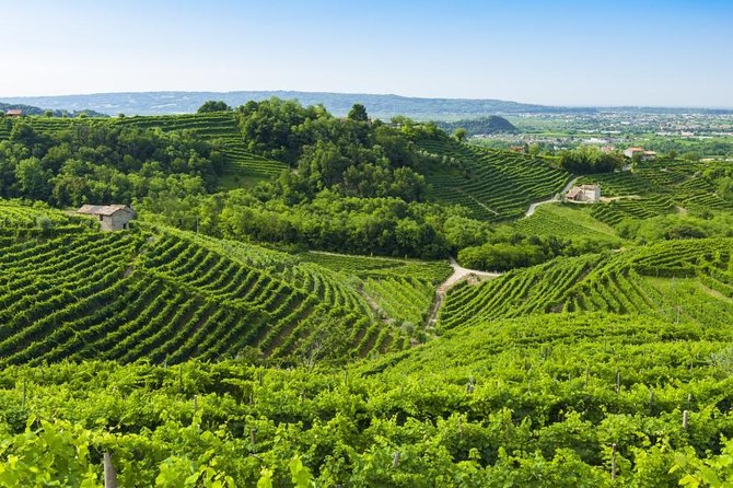 2 Guests Private Prosecco Road Tour All Inclusive from Conegliano - Key things to know
