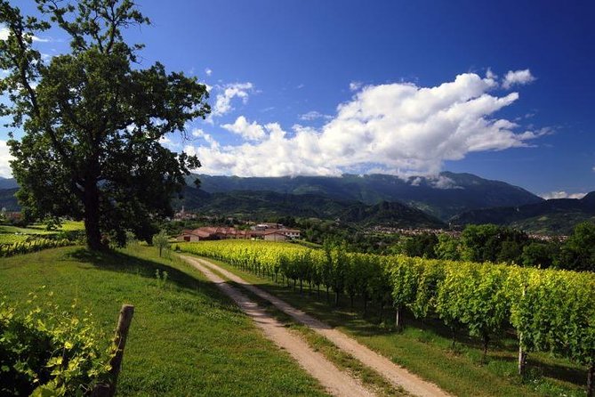 2 Guests Private Prosecco Road Tour All Inclusive from Conegliano - Valdobbiadene Steep Hill and Winery Lunch: How the Day Builds