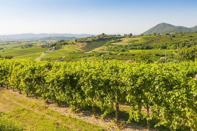 2 Guests Private Prosecco Road Tour All Inclusive from Conegliano - San Pietro di Feletto Photo Break: Rolling to Steep
