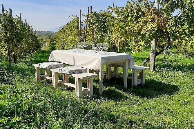 2 Guests Private Prosecco Road Tour All Inclusive from Conegliano - What You’ll Learn About Prosecco: From Grape to Bottle