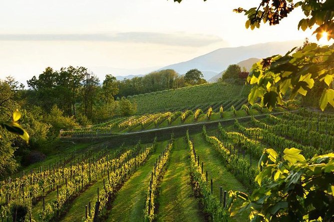 2 Guests Private Prosecco Road Tour All Inclusive from Conegliano - Pricing and Value for Two: Is $482.73 Worth It?