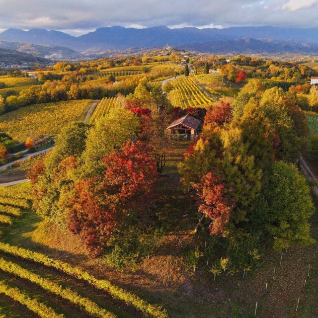 Conegliano: Prosecco Hills and Vineyards tour - Should you book ManiSagge’s Conegliano Prosecco Hills and Vineyards tour?