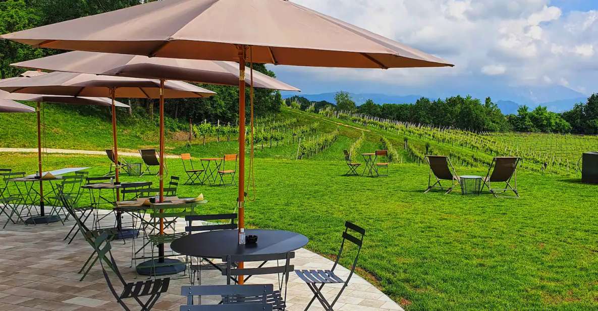 Conegliano: Prosecco Hills and Vineyards tour - Conegliano’s hill views are the secret ingredient