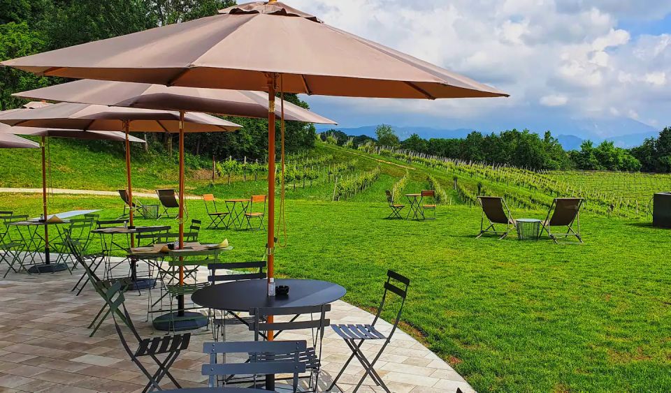 Conegliano: Prosecco Hills and Vineyards tour - Heroic viticulture explained by your feet