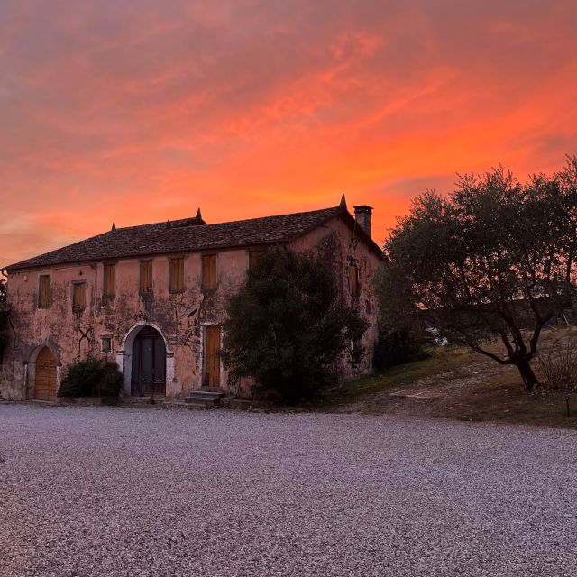 Conegliano: Prosecco Hills and Vineyards tour - Price and value: $34 for wine plus place-plus-pedagogy