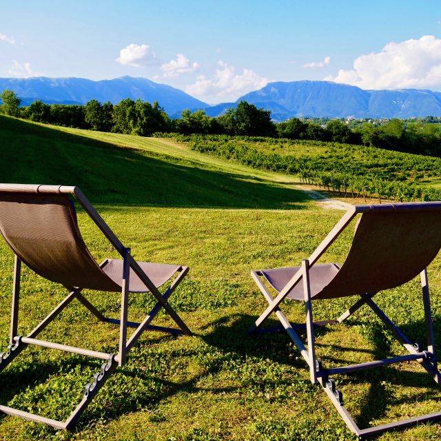 Conegliano: Prosecco Hills and Vineyards tour - Who should book this Conegliano Prosecco hills tour