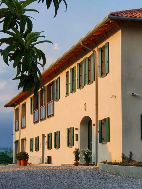 Conegliano: Prosecco Hills and Vineyards tour - The 1.5-hour flow: cellar tastings, local bites, then a hilltop walk