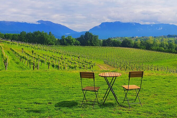 Exclusive Tour of the Vineyards with Visit to the Cellar! - Quick highlights before you go