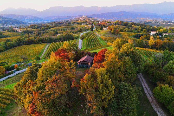 Exclusive Tour of the Vineyards with Visit to the Cellar! - Your Guides Matter: Marco and Sara Set the Tone