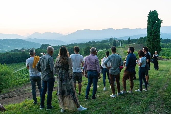 Exclusive Tour of the Vineyards with Visit to the Cellar! - The Walk and the Views: Ancient Vineyards plus UNESCO Countryside Scenery