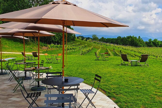 Exclusive Tour of the Vineyards with Visit to the Cellar! - Price and Value: $82.91 for a Private 2-Hour Wine Education
