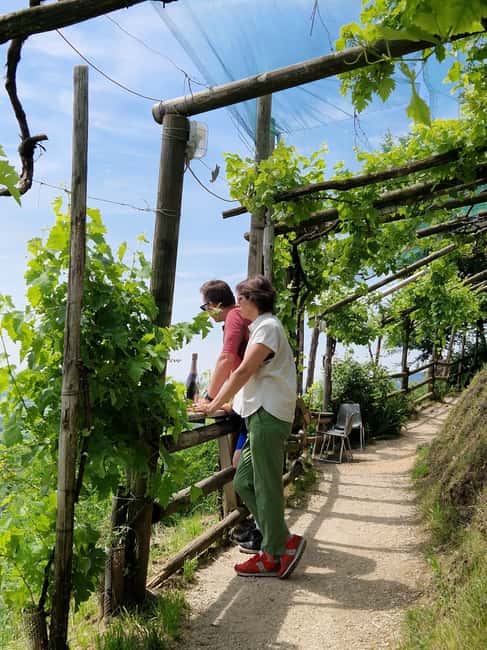 Guided Prosecco Tasting & Easy E-Bike Ride - The underground cellar tasting: three premium Proseccos, guided and practical