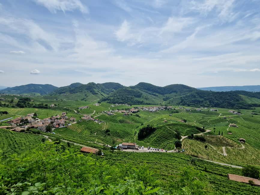 Guided Prosecco Tasting & Easy E-Bike Ride - Venetian cicchetti and local food: why the pairing matters