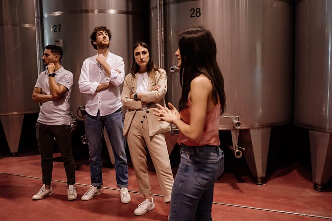 Guided Visit and Wine Tasting at the Winery in Veneto - The Three Harvest Method: what you’ll learn and why it matters