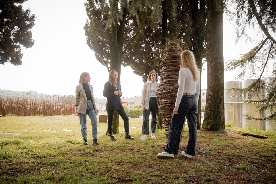 PARCO DELLA FILANDETTA WINE & ART FARM : ART&NATURE TOUR - The walk through the organic vineyard: what you’re actually learning