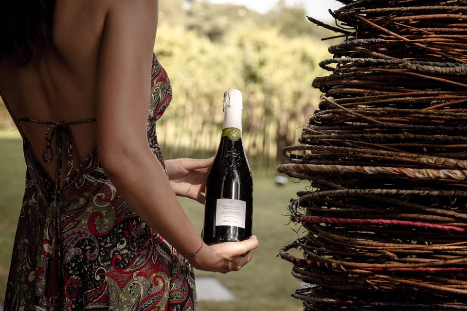 PARCO DELLA FILANDETTA WINE & ART FARM : ART&NATURE TOUR - Price and value: does $40 feel fair?