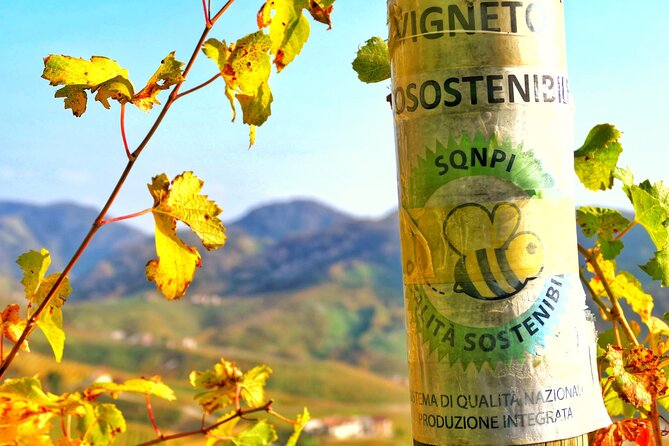 Private Prosecco Tour, with a certified Sommelier - Valdobbiadene: where Prosecco quality gets explained in plain terms