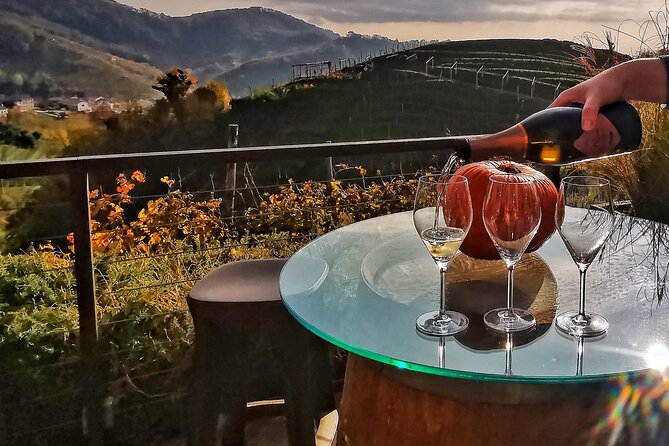 Private Prosecco Tour, with a certified Sommelier - The pacing of a 5-hour day from Venice (and how to enjoy it)