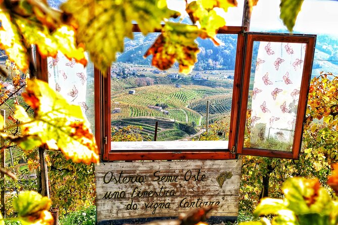 Private Prosecco Tour, with a certified Sommelier - Price and value: why $259.18 can actually make sense