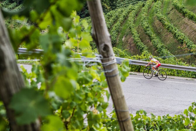 Private Prosecco Tour, with a certified Sommelier - Who should book this private Prosecco tour (and who should skip it)