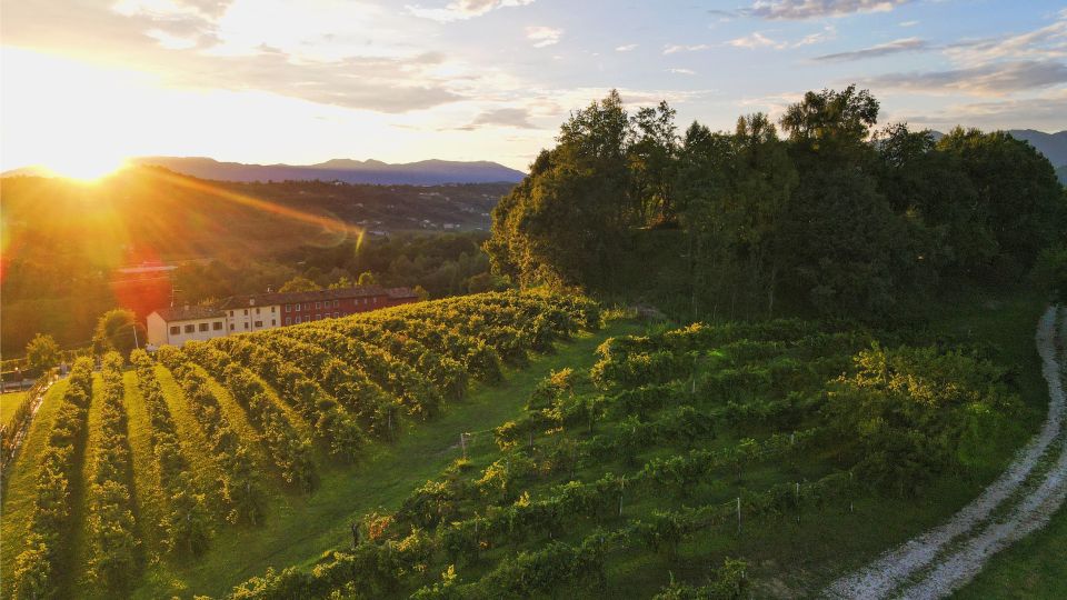 Prosecco Hills: Lovely Tasting Night - Price and value: is $29 a good deal here?