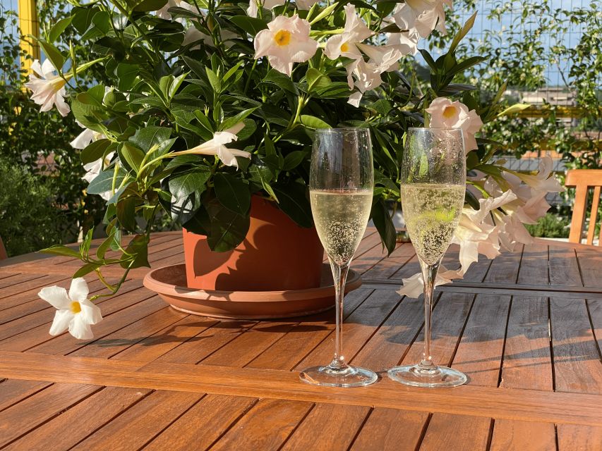 Prosecco Hills Private Tour All inclusive. 2 wineries+lunch - Key points to know before you go