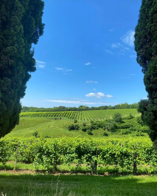 Prosecco Hills Private Tour All inclusive. 2 wineries+lunch - Lunch at a traditional Osteria: wine, water, coffee included