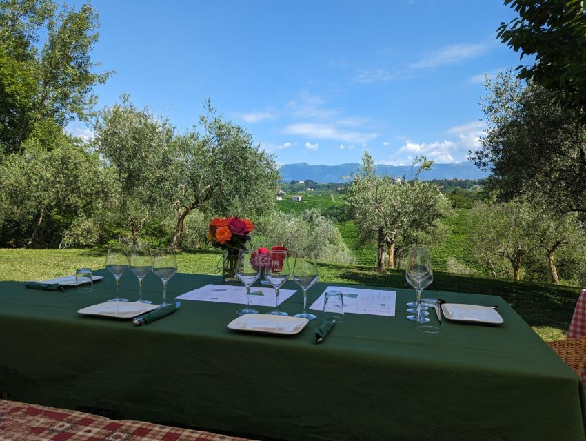Prosecco Hills Private Tour All inclusive. 2 wineries+lunch - Guide style and group size: what a private day feels like