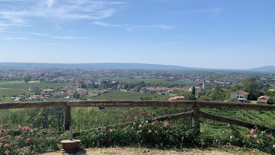 Prosecco Hills Private Tour All inclusive. 2 wineries+lunch - Who this tour fits best (and who should reconsider)
