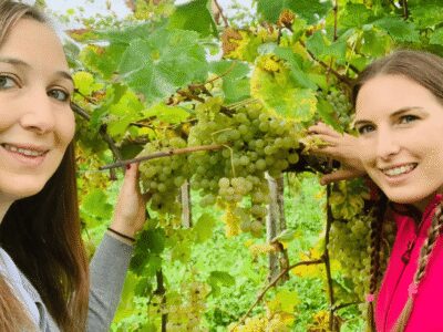 Prosecco Tasting in Countryside Winery - The 1-hour flow: terrace intro, guided process, then 3 Prosecco styles