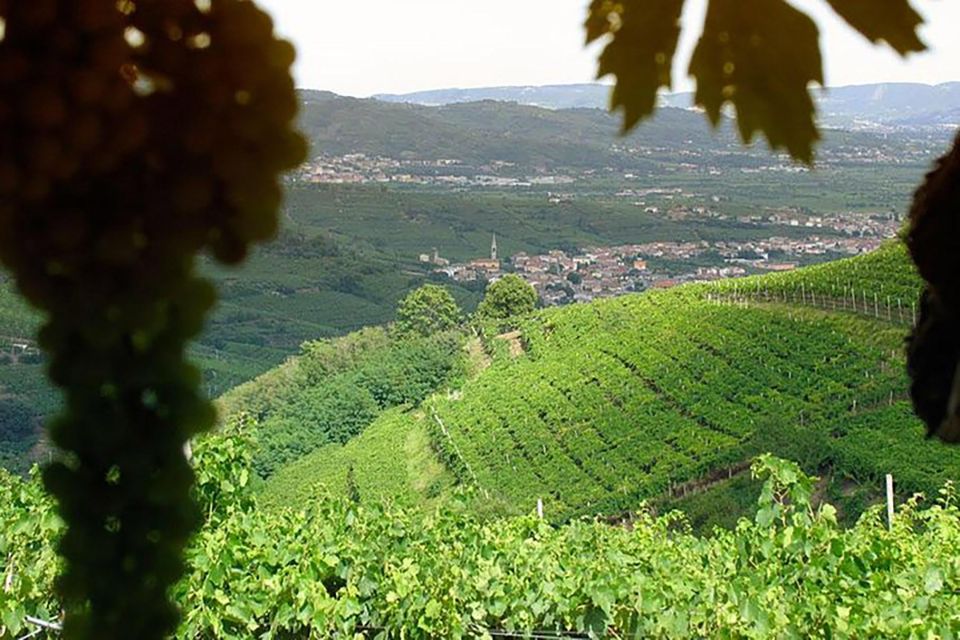 Prosecco Wine Tour. Full Day - 2 Wineries. From Venice - Price and Value: What $180 Buys You from Venice