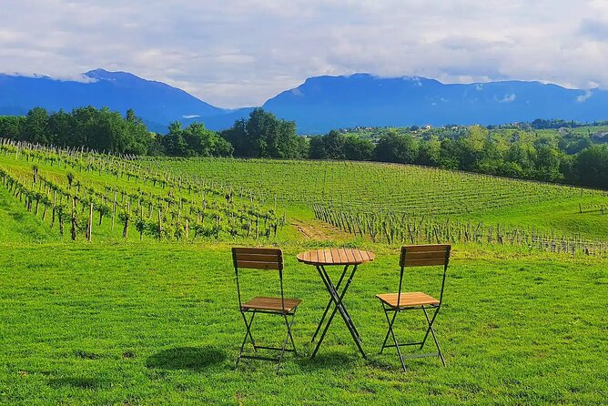 Romantic Evening Tasting with the Best Prosecco - Price and value: why $41.70 can be a smart evening in Veneto