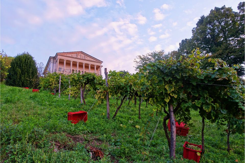 San Pietro di Feletto: Vineyard Tour with Cellar Visit - FAQ