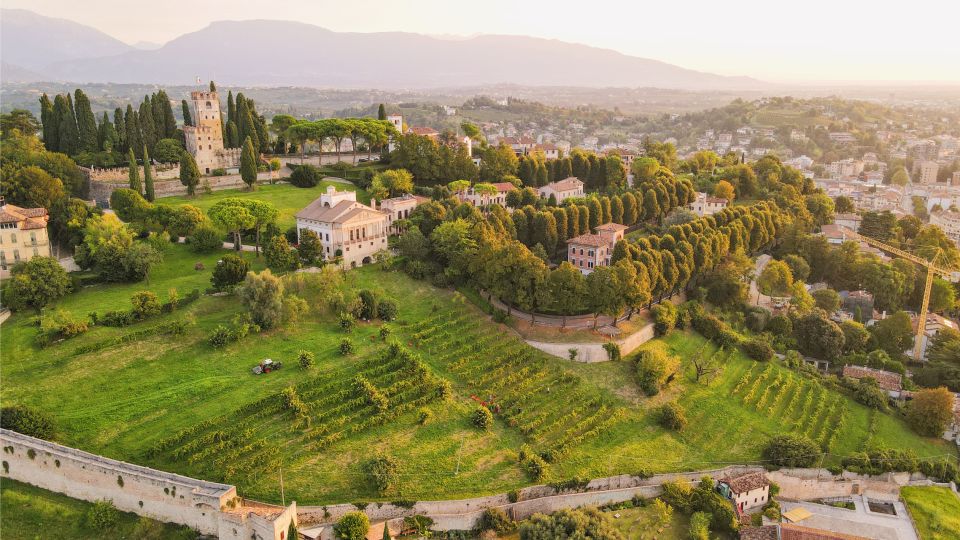 San Pietro di Feletto: Vineyard Tour with Cellar Visit - What you taste: Prosecco Superiore DOCG, Pinot Grigio, and local bites