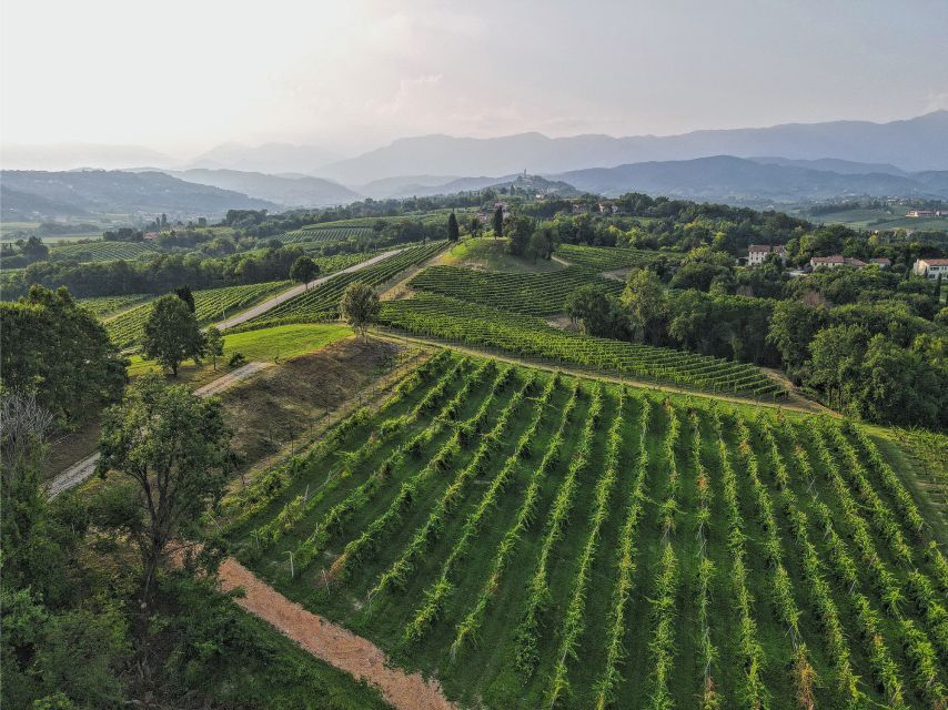 San Pietro di Feletto: Vineyard Tour with Cellar Visit - Who should book this ManiSagge vineyard tour