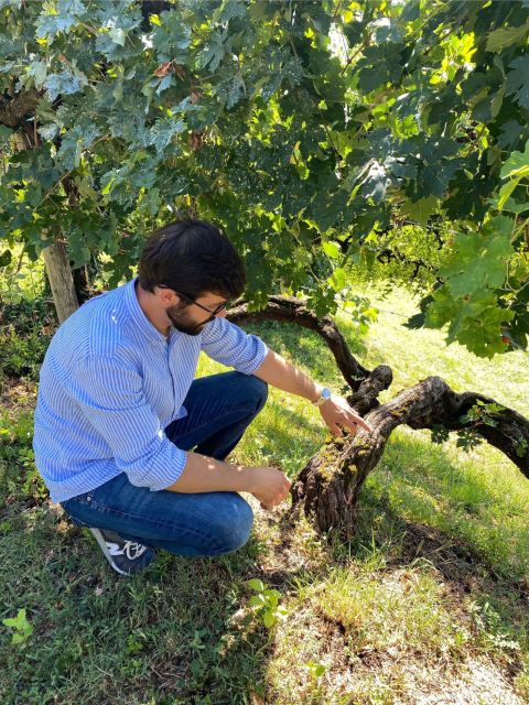 San Pietro di Feletto: Vineyard Tour with Cellar Visit - Should you book the San Pietro di Feletto vineyard tour?