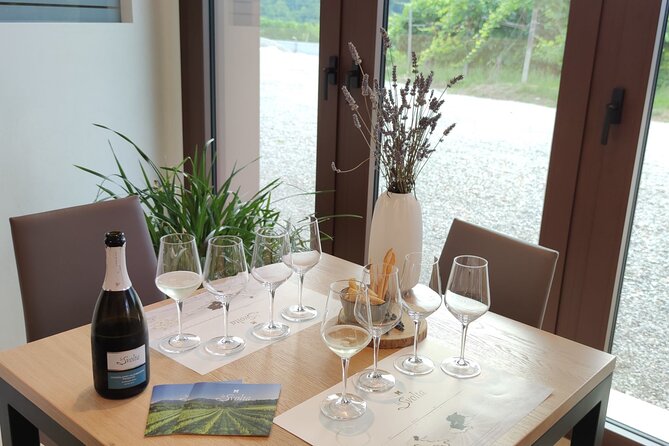 Tour and tasting in the hills of Prosecco Superiore DOCG - Key highlights you will feel right away