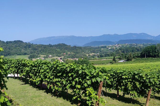 Tour and tasting in the hills of Prosecco Superiore DOCG - La Svolta near Treviso: a focused Prosecco stop that doesn’t drag