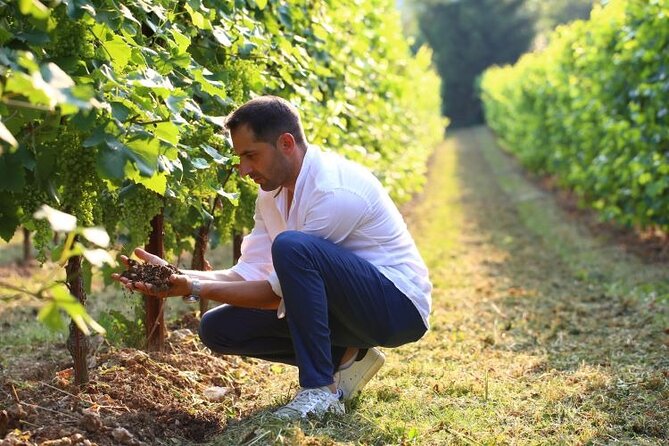 Tour and tasting in the hills of Prosecco Superiore DOCG - Francesca’s family-run hosting changes the feel