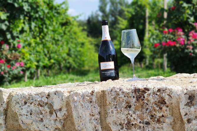 Tour and tasting in the hills of Prosecco Superiore DOCG - Vineyard walk first: what you do in the hills