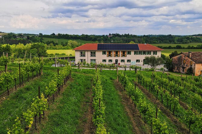 Unconventional Prosecco Tasting with Stunning View on Vineyards - Price and Value: What $46.81 Actually Buys You