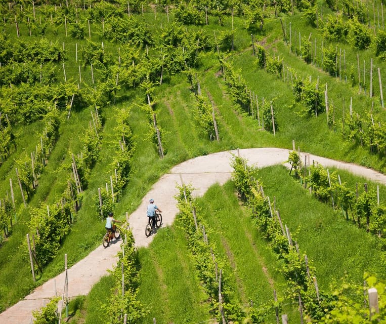 Valdobbiadene: e-bike Tour on the Prosecco Hills - Why Valdobbiadene’s Prosecco Hills Work So Well on an E-Bike