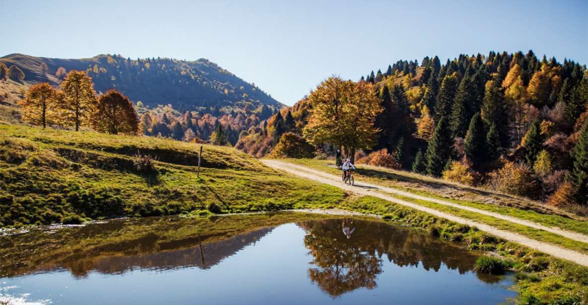 Valdobbiadene: Guided E-Bike Tour in Prosecco Hills - Pedal-Assisted Prosecco: why this beats driving