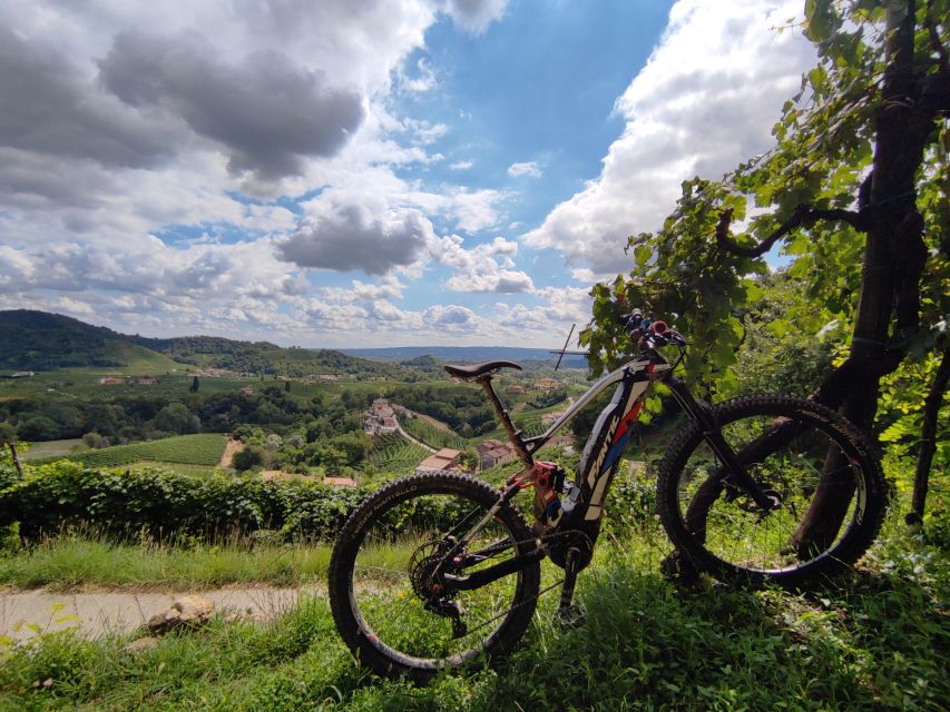 Valdobbiadene: Guided E-Bike Tour in Prosecco Hills - Picnic in nature: plan for comfort, not surprises