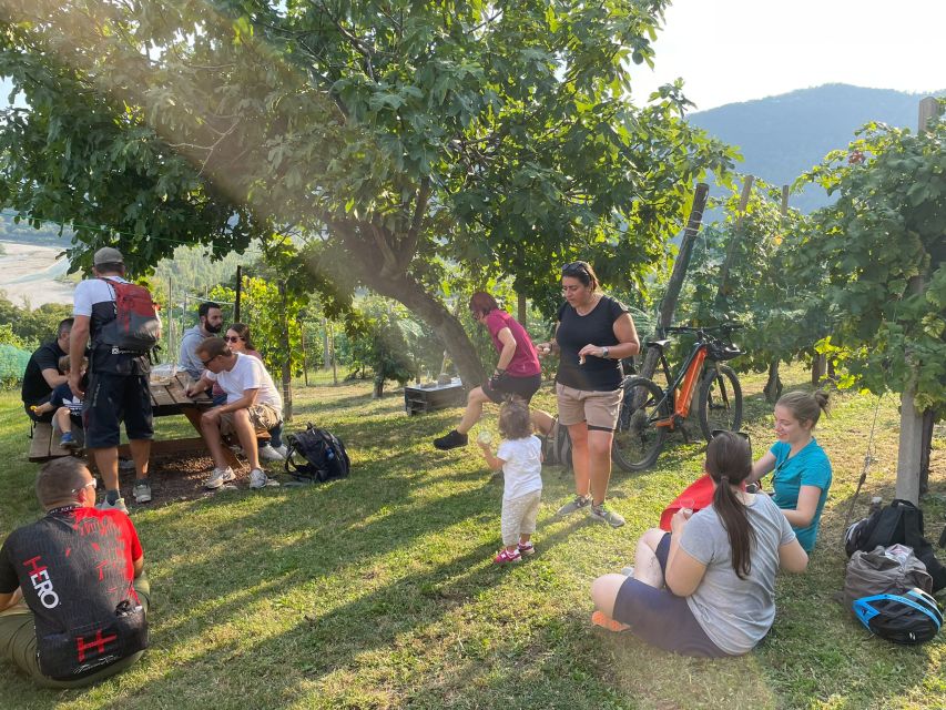 Valdobbiadene: Guided E-Bike Tour in Prosecco Hills - Guides that shape the day: friendly, adaptable, and multilingual