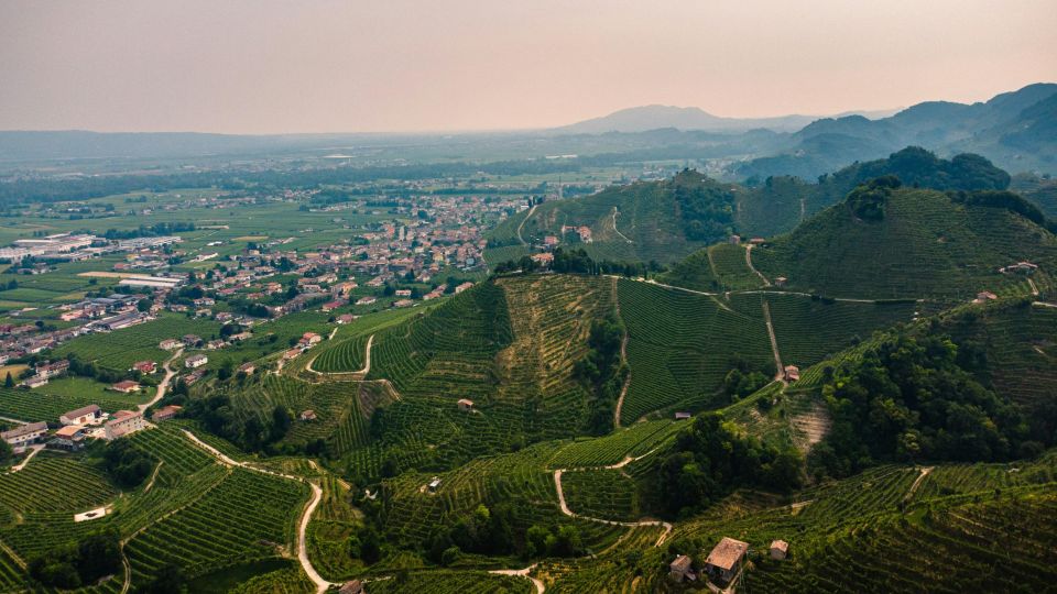 Valdobbiadene: Prosecco private tour & taste with Sommelier - Key highlights worth planning around