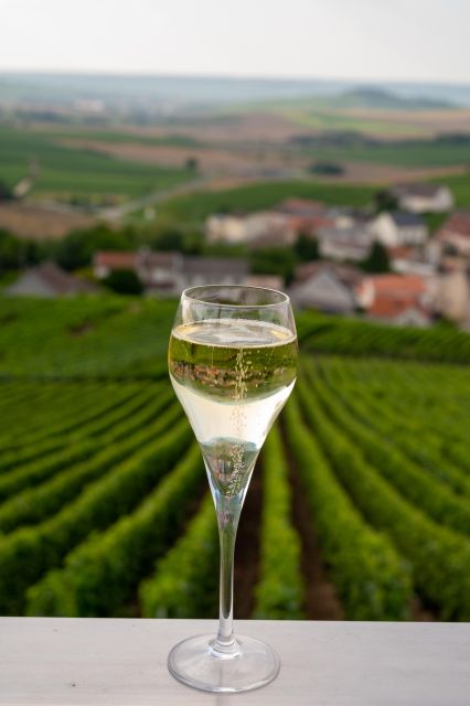 Valdobbiadene: Prosecco private tour & taste with Sommelier - The drive through UNESCO hills: how the views teach you Prosecco
