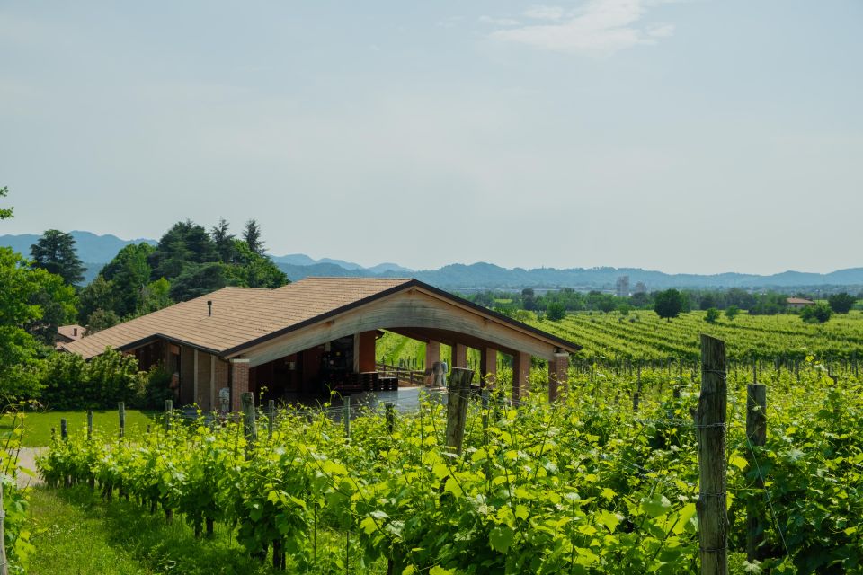 Valdobbiadene: Prosecco Tasting Experience - Why this Prosecco flight feels more meaningful than a quick sip