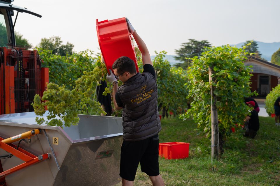 Valdobbiadene: Prosecco Tasting Experience - Price and value: is $41 per person worth it?