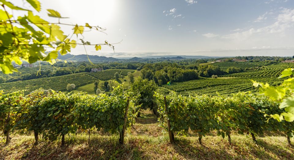 Valdobbiadene: Prosecco Tasting Experience - Should you book the Valdobbiadene Prosecco tasting?